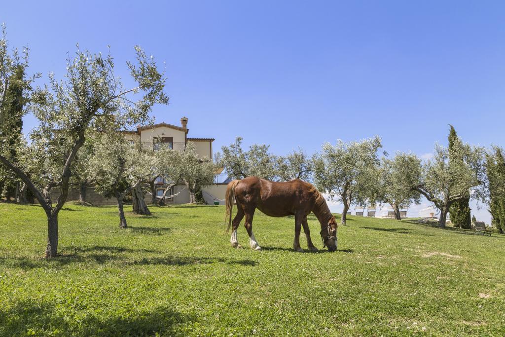 Agriturismo Le Bosche San Marino Kültér fotó