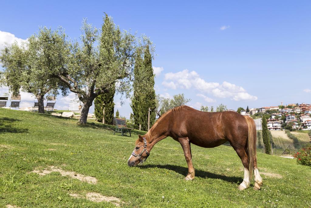 Agriturismo Le Bosche San Marino Kültér fotó