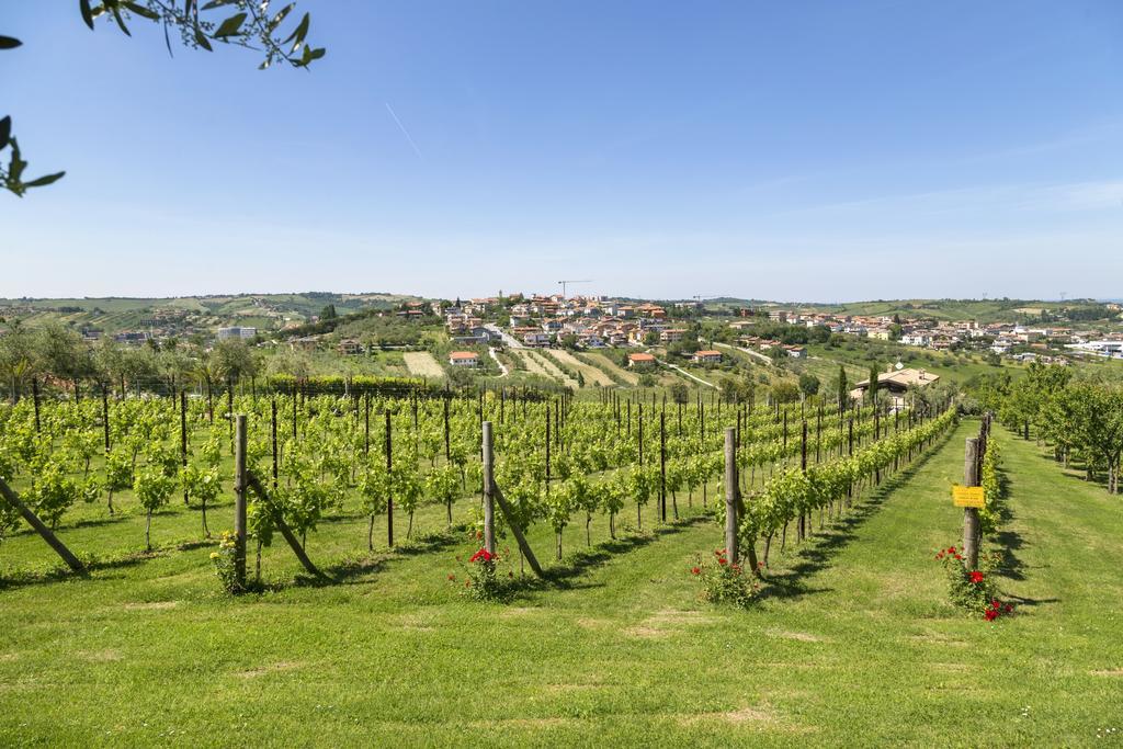 Agriturismo Le Bosche San Marino Kültér fotó