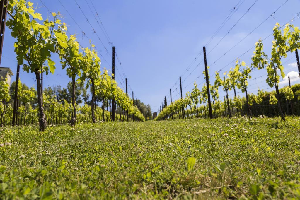 Agriturismo Le Bosche San Marino Kültér fotó