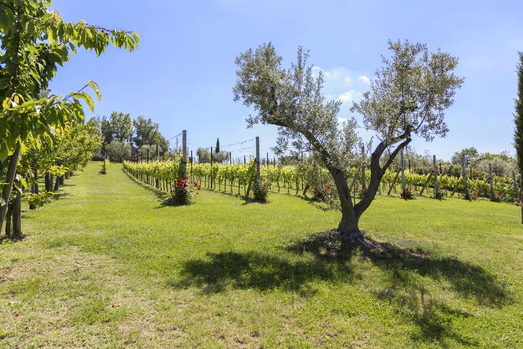 Agriturismo Le Bosche San Marino Kültér fotó